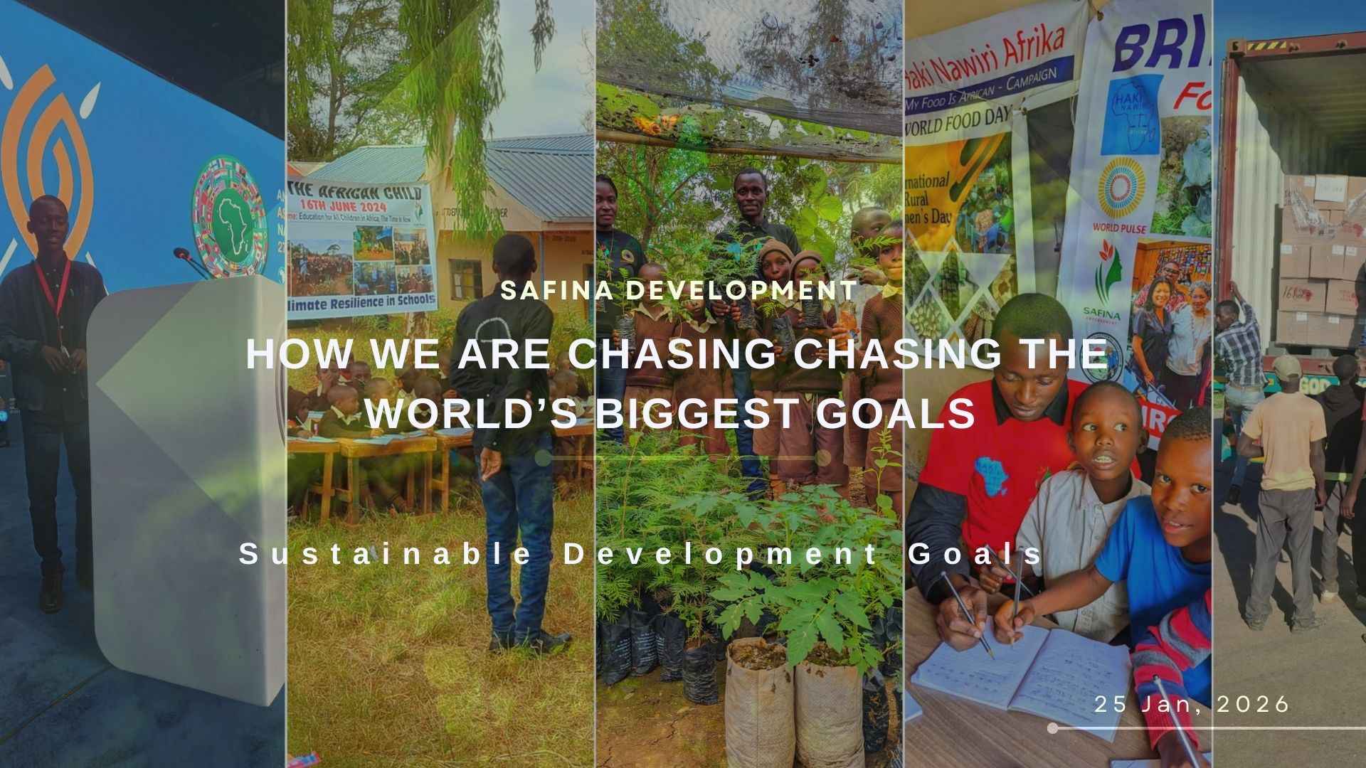 Our activities