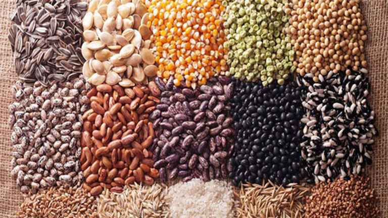 indegenous seeds collection